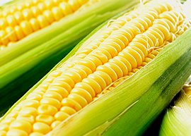 corn