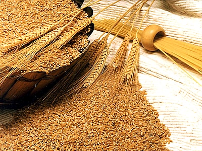 Buğday Besin Değerleri